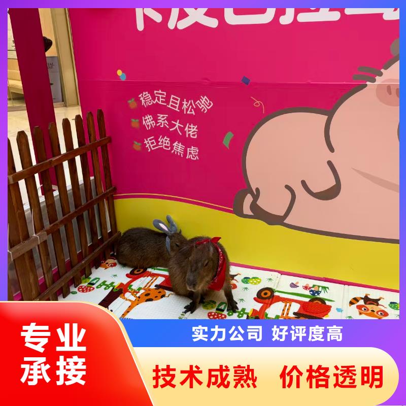 检疫标准原厂定做