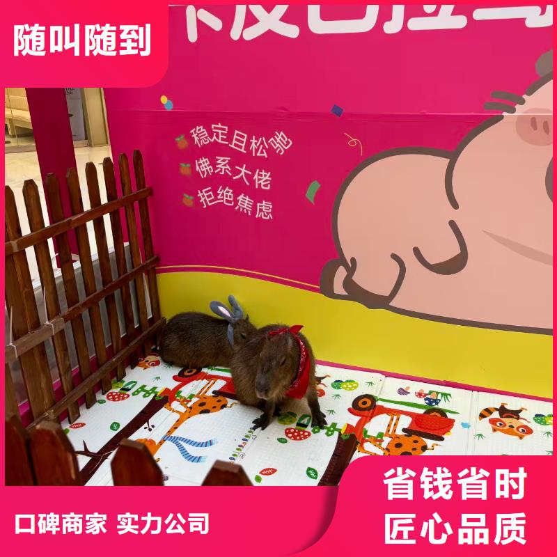 饲养员施工厂家