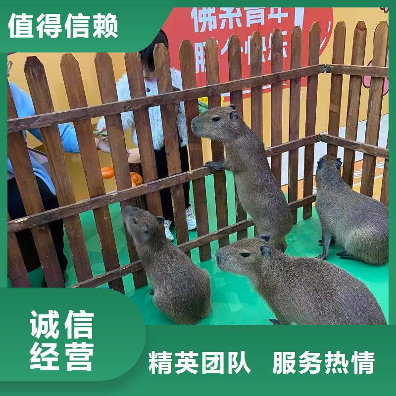 养殖基地欢迎下单