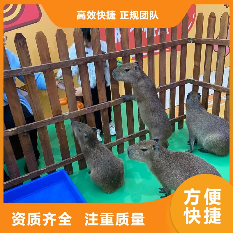 检疫标准原厂定做