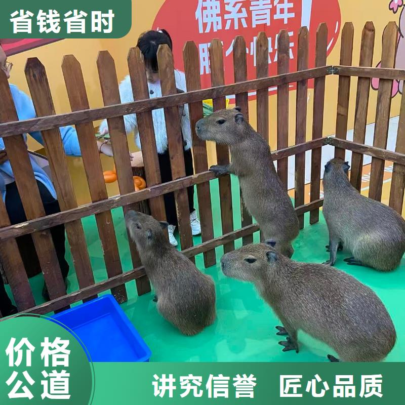 库存充足的出租经销商