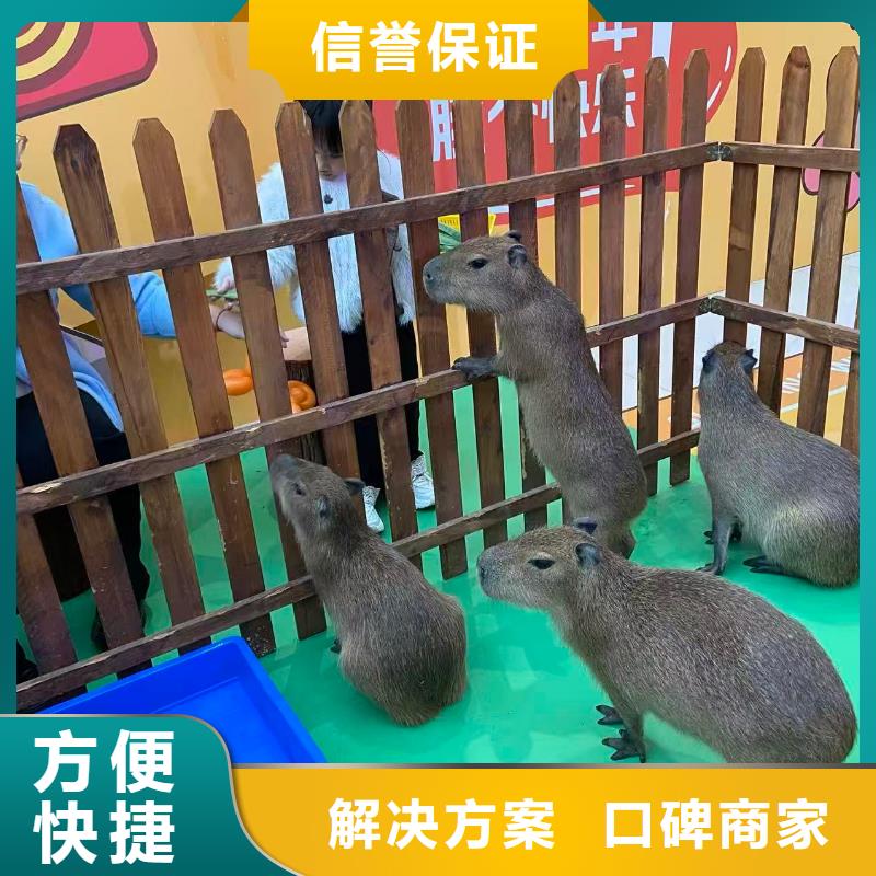 饲养员施工厂家