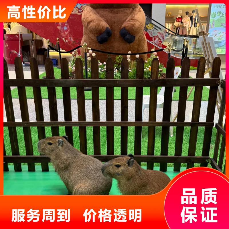 检疫标准原厂定做