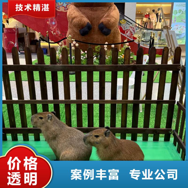 策划企业-质量过硬