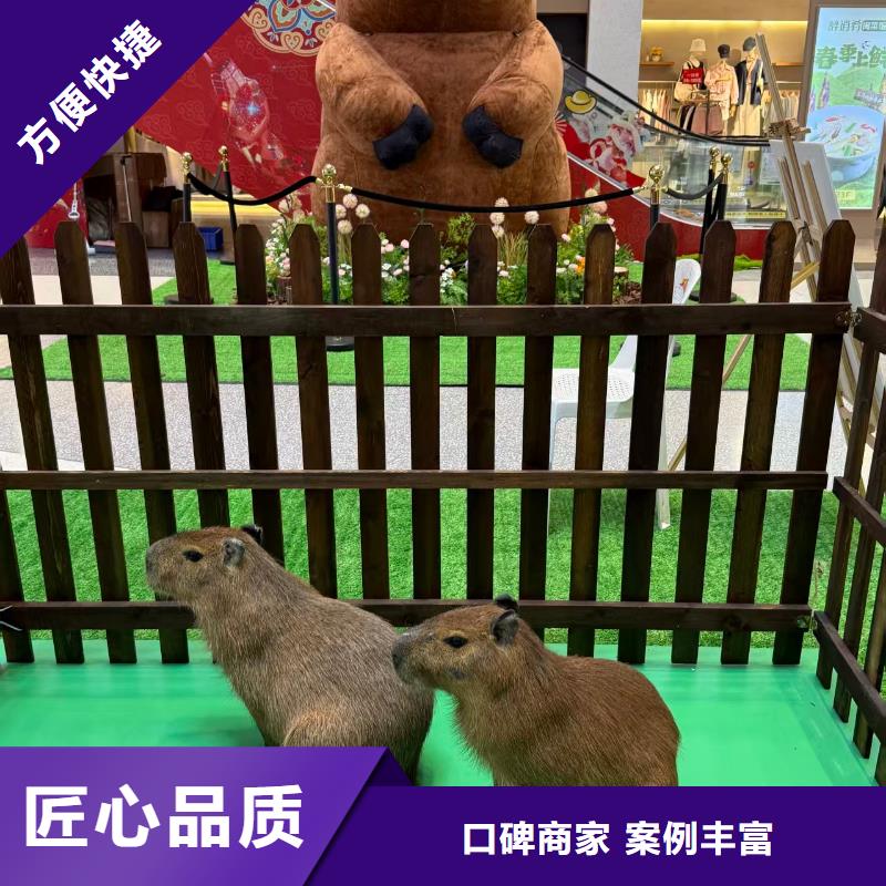 靠谱的检疫标准公司