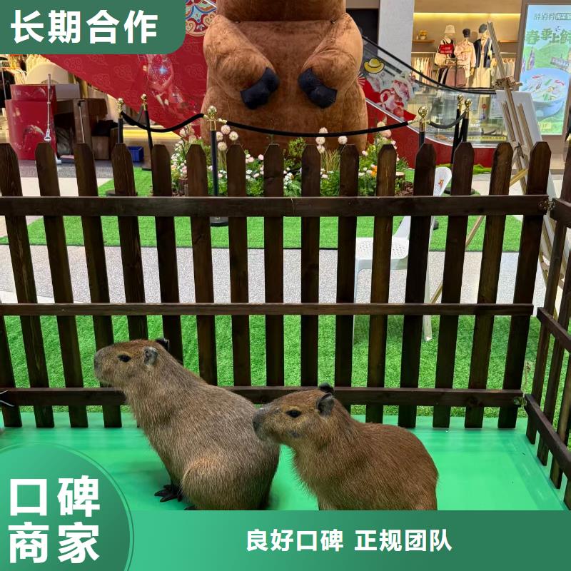 泳池 优质生产厂家