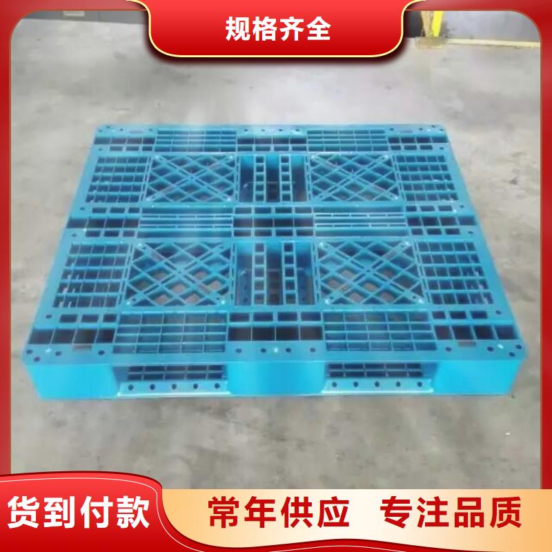 塑料托盘塑料田字卡板厂家直销省心省钱