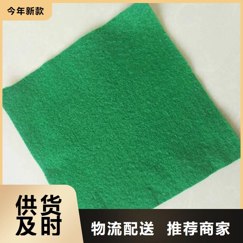 土工布双向塑料土工格栅商家直供