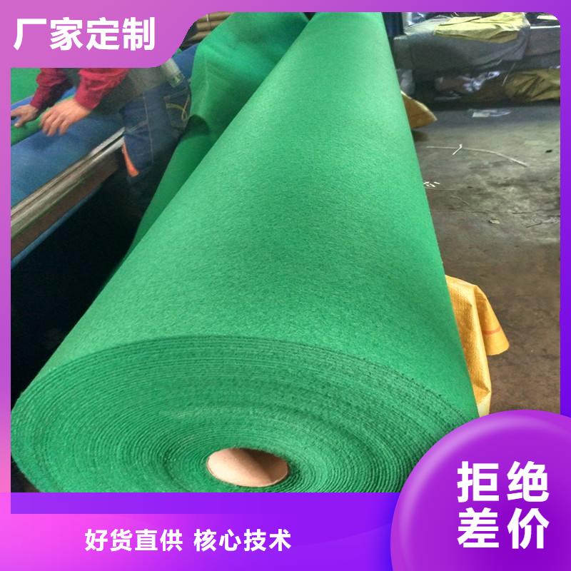 土工布双向塑料土工格栅商家直供