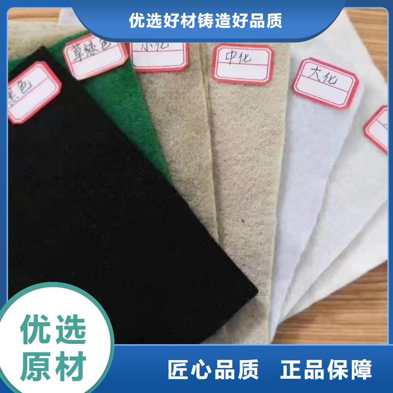 土工布双向塑料土工格栅商家直供