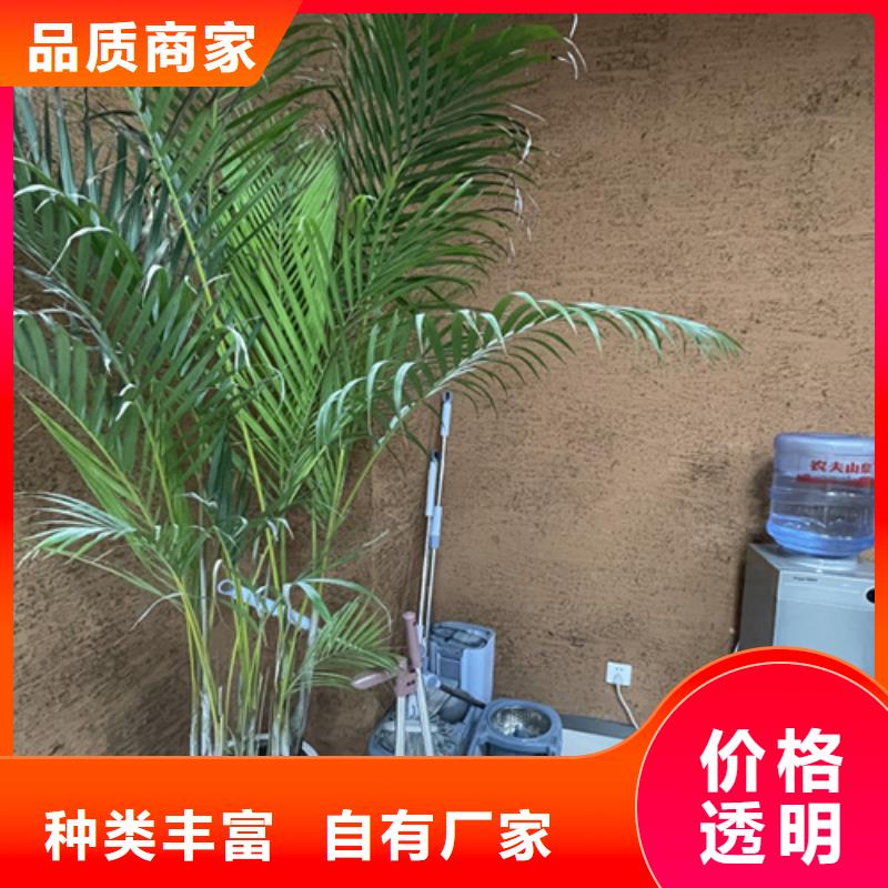 仿夯土外墙漆施工 #生态稻草漆#老房翻新#农家小院