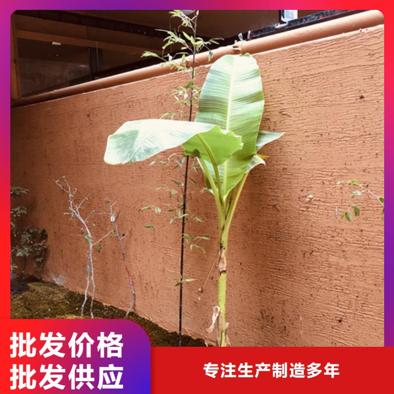稻草漆品牌现货报价多少钱