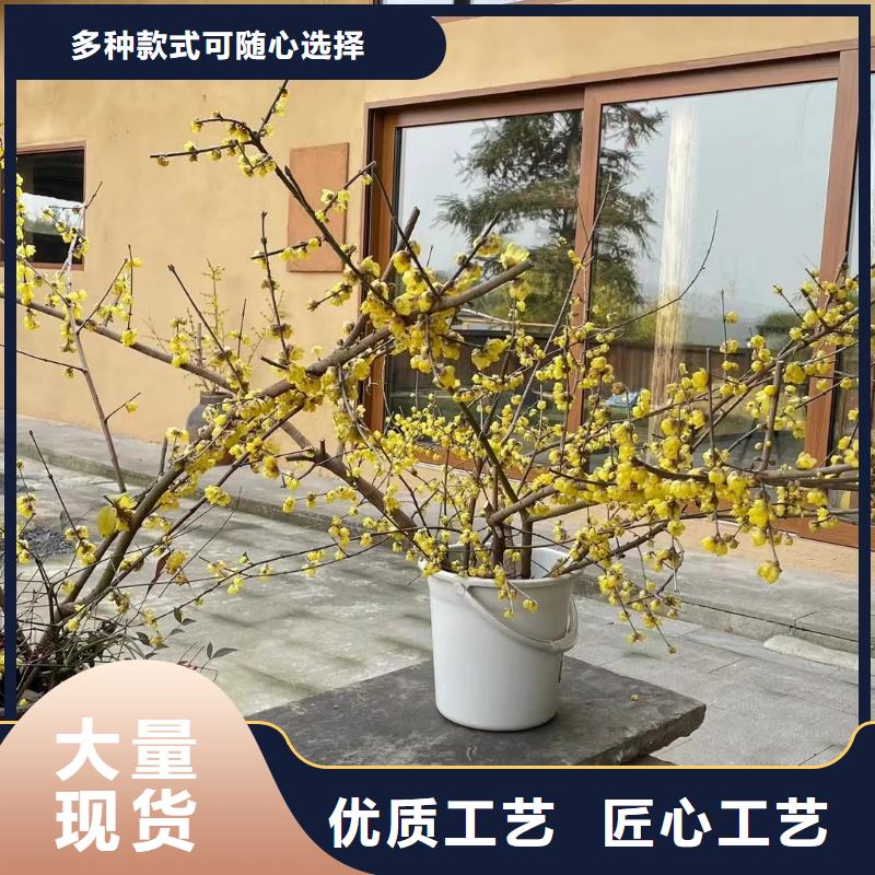 稻草漆品牌现货报价多少钱