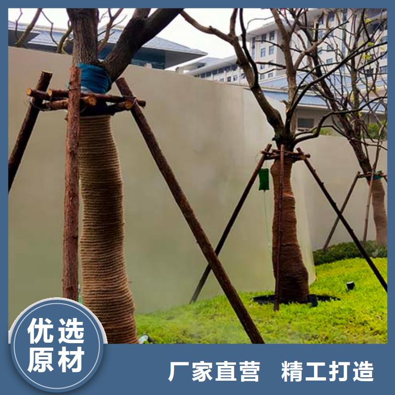 双组份微水泥靠谱厂家多少钱一平米