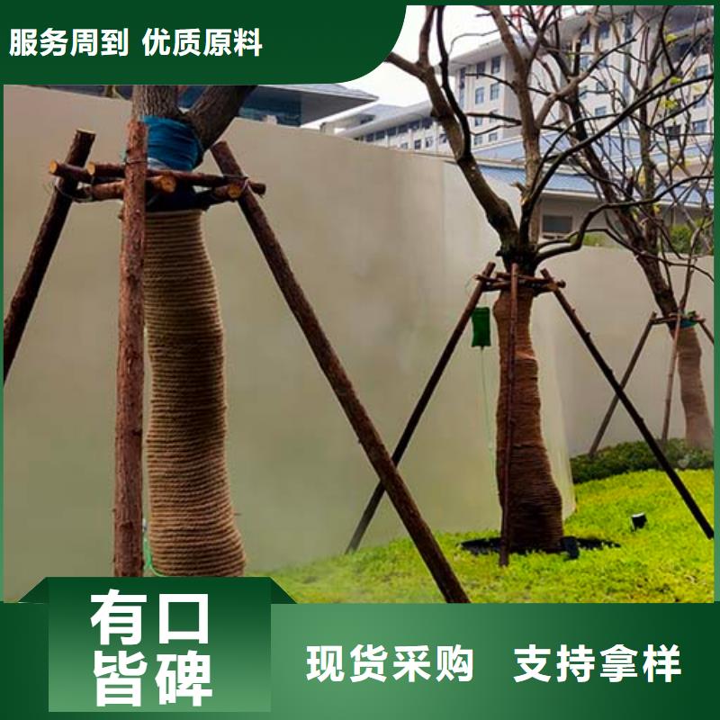 双组份微水泥靠谱厂家多少钱一平米