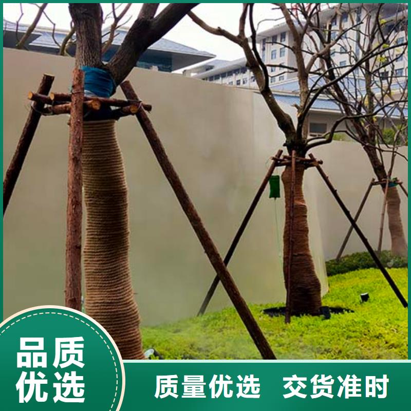 进口微水泥全国发货多少钱