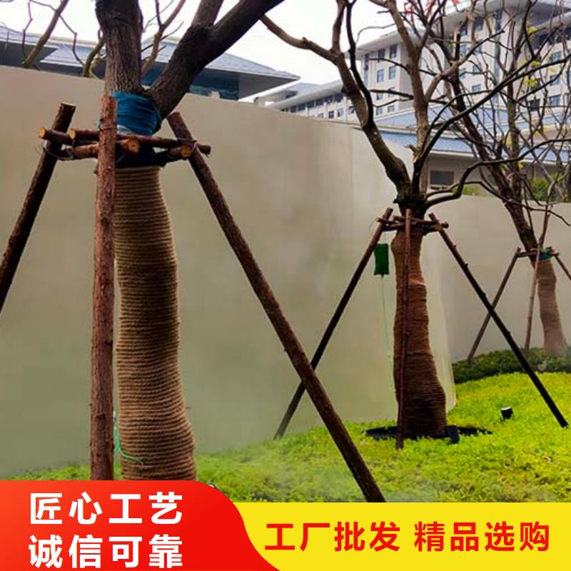 文昌市亮光微水泥10年经验包工包料多少钱