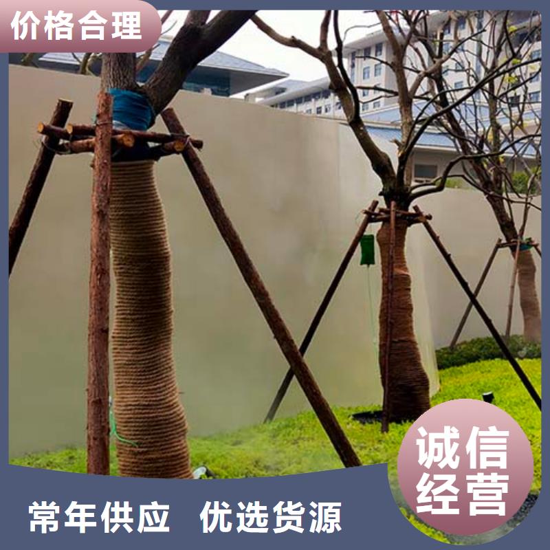 进口微水泥全国发货多少钱