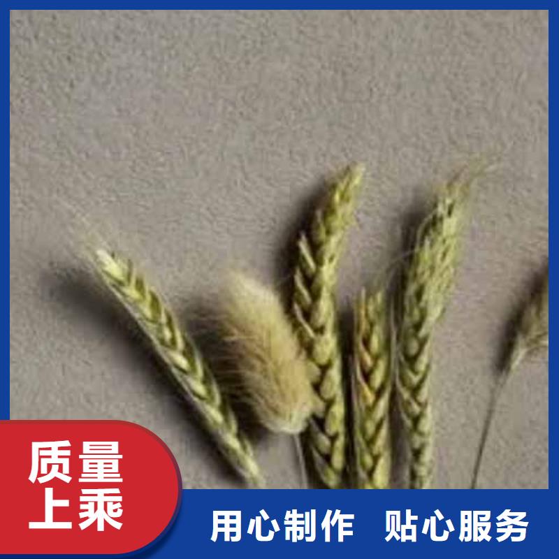 雅晶石艺术漆承诺守信包工包料多少钱一平米