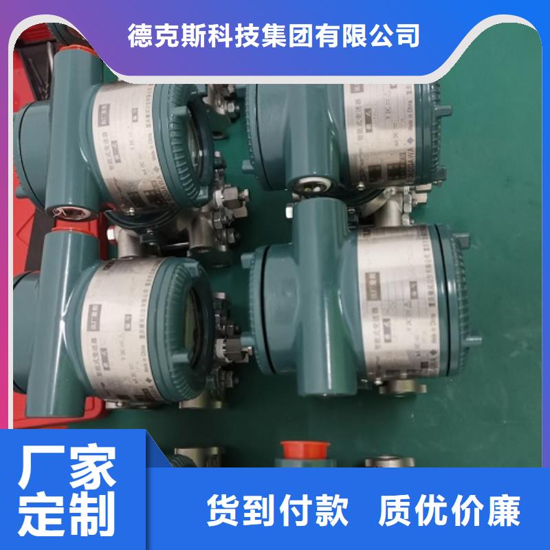 德克斯 【工业热电阻】精心打造