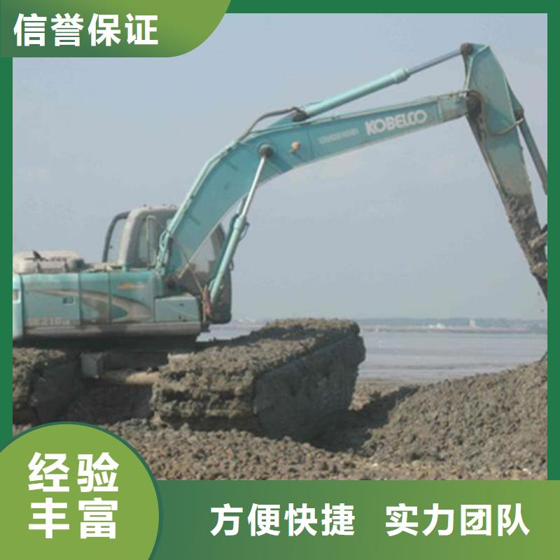 山东水陆挖掘机出租选购