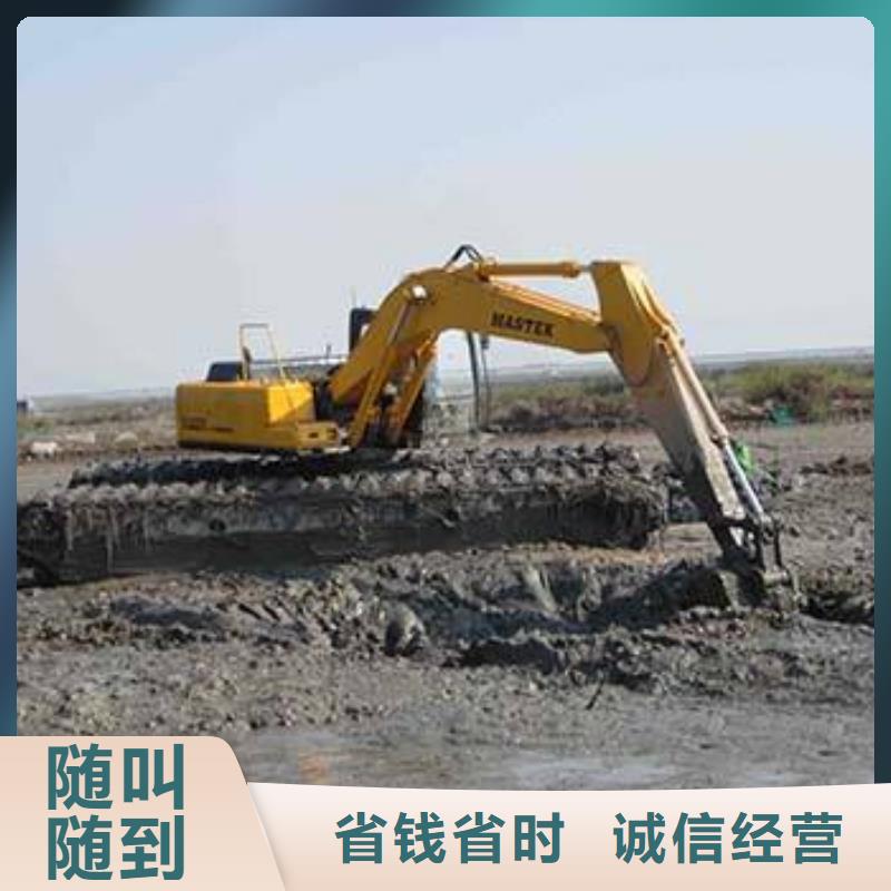 山东水陆挖掘机出租价格