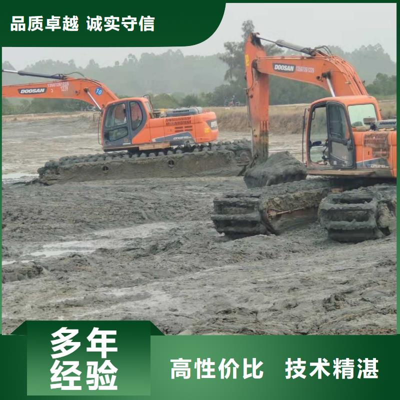 山东水陆挖掘机出租厂家直发