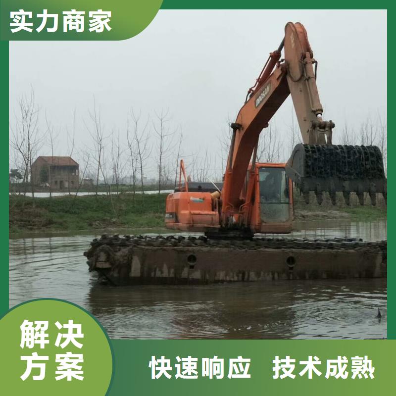 山东水陆挖掘机出租_多年生产经验