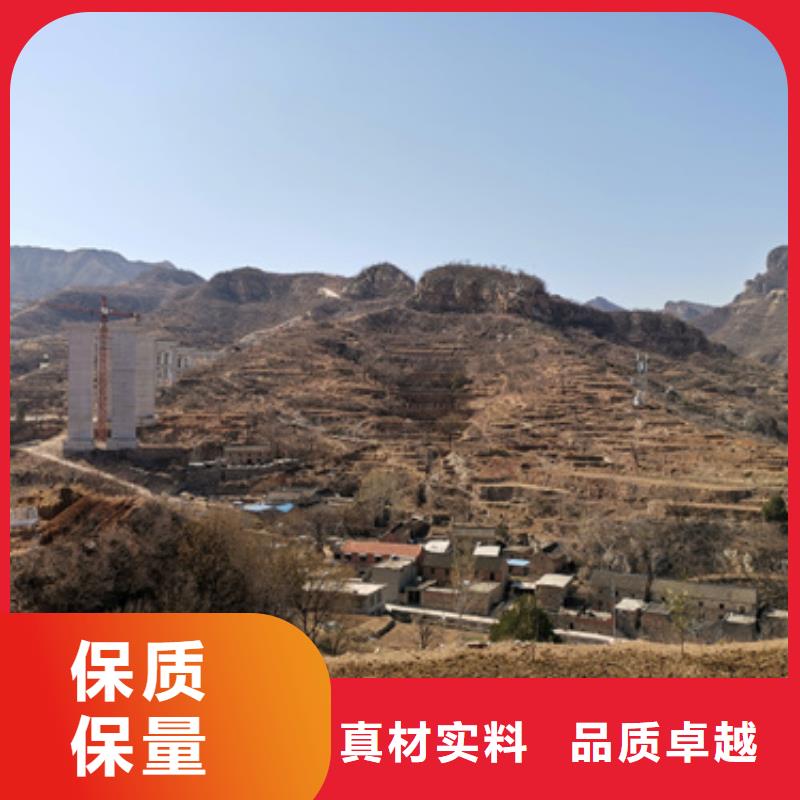 发电机出租10KV发电机出租满足客户所需