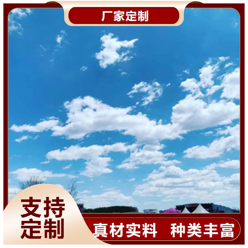 发电机租赁,出租100KW发电机设计合理