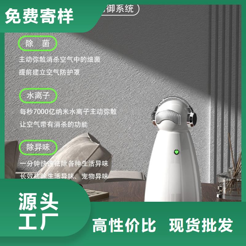 小白祛味王小白祛味王供应让客户买的放心