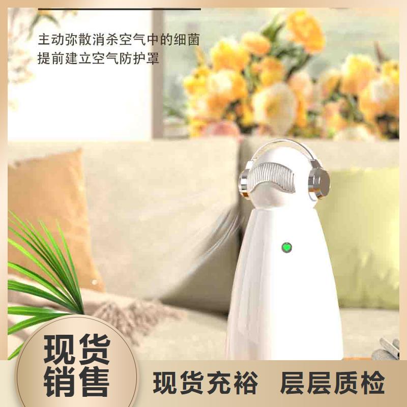 小白孕妇空气守护机智能空气净化器销售今日新品
