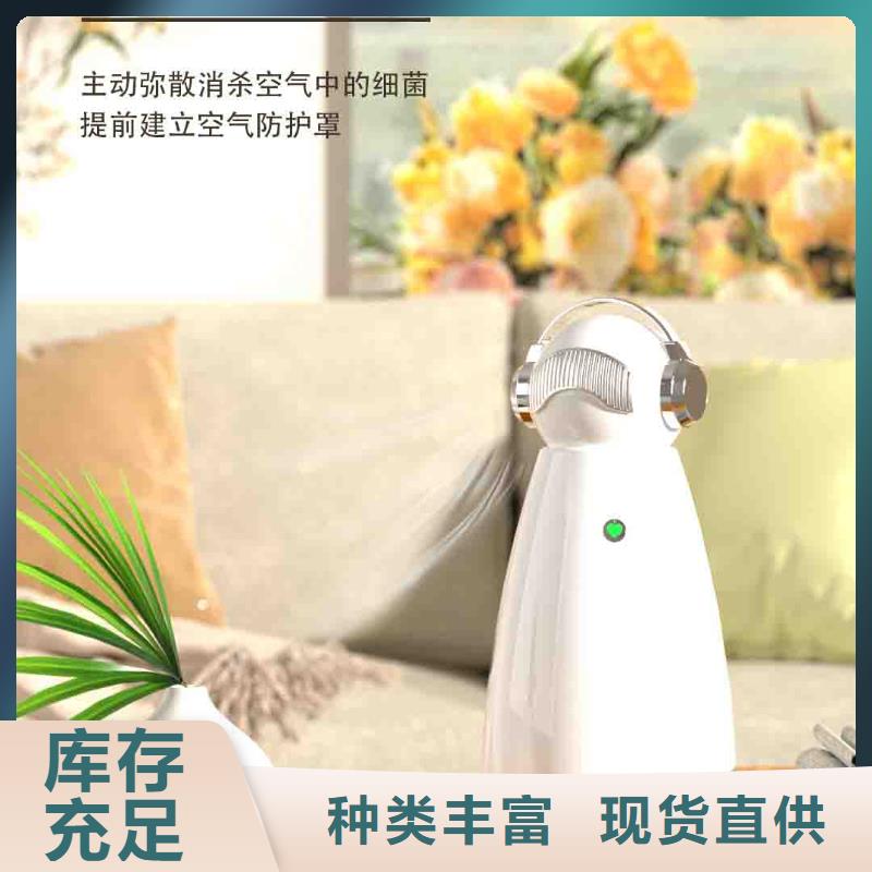 小白孕妇空气守护机智能空气净化器销售今日新品