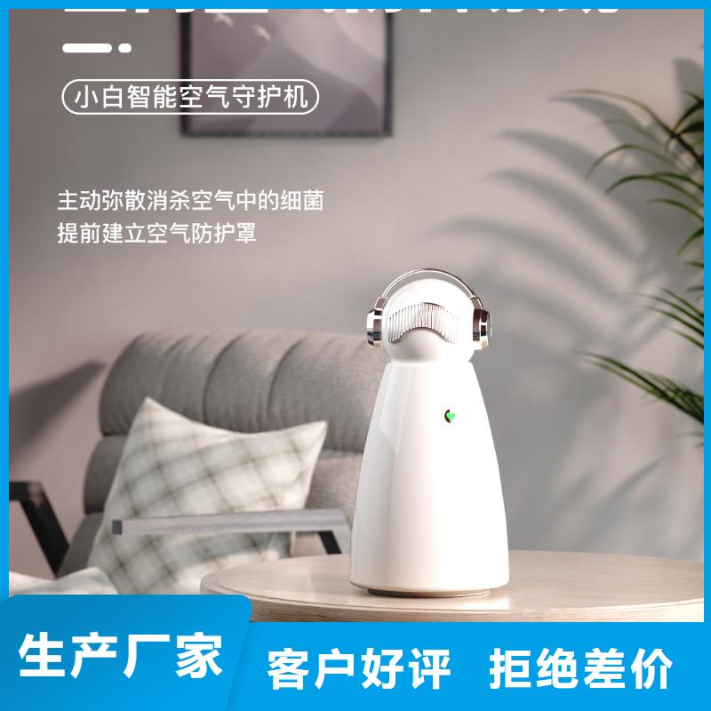 小白孕妇空气守护机智能空气净化器销售今日新品