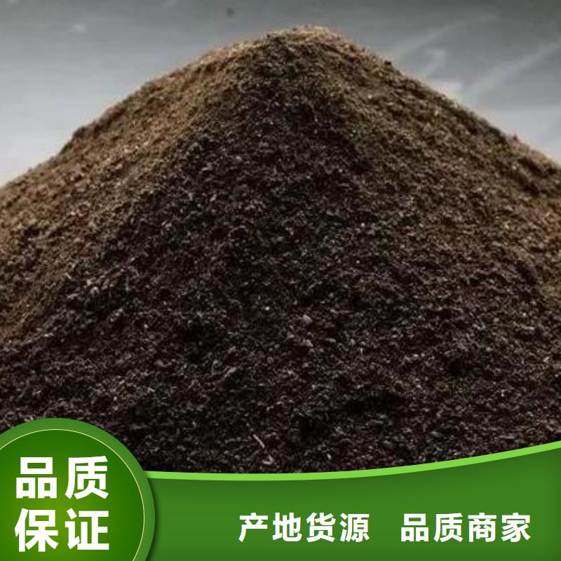 有机肥大葱亩产量