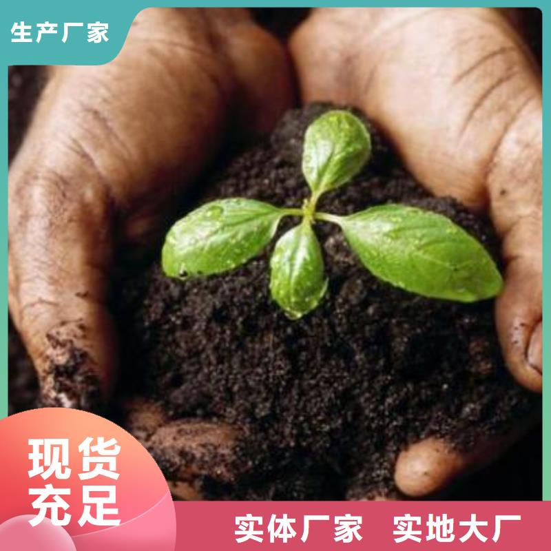 有机肥大葱亩产量