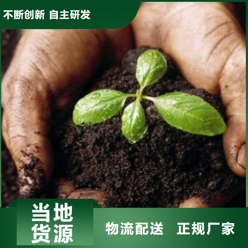 有机肥大葱亩产量