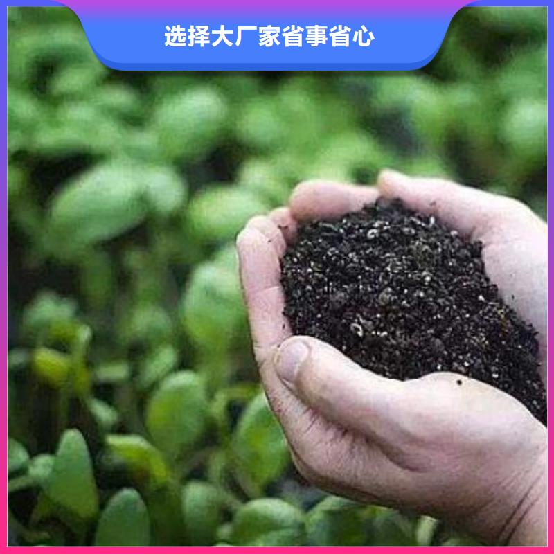 鸡粪有机肥改善品质