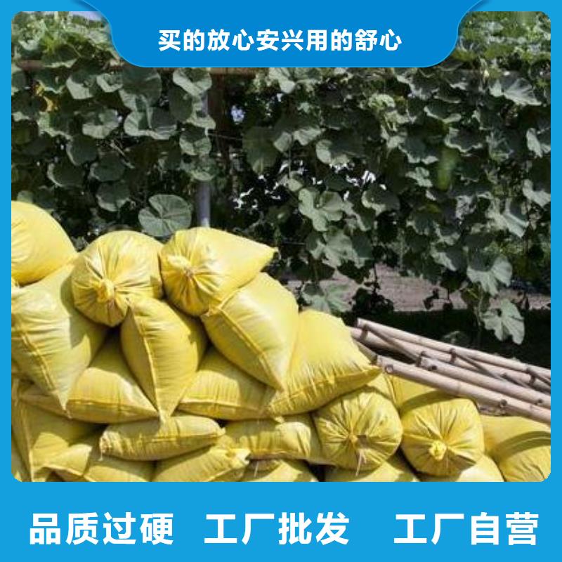 有机肥大葱亩产量