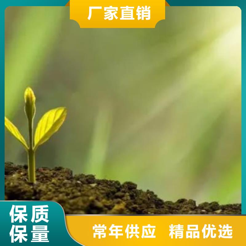 有机肥好口碑万人传