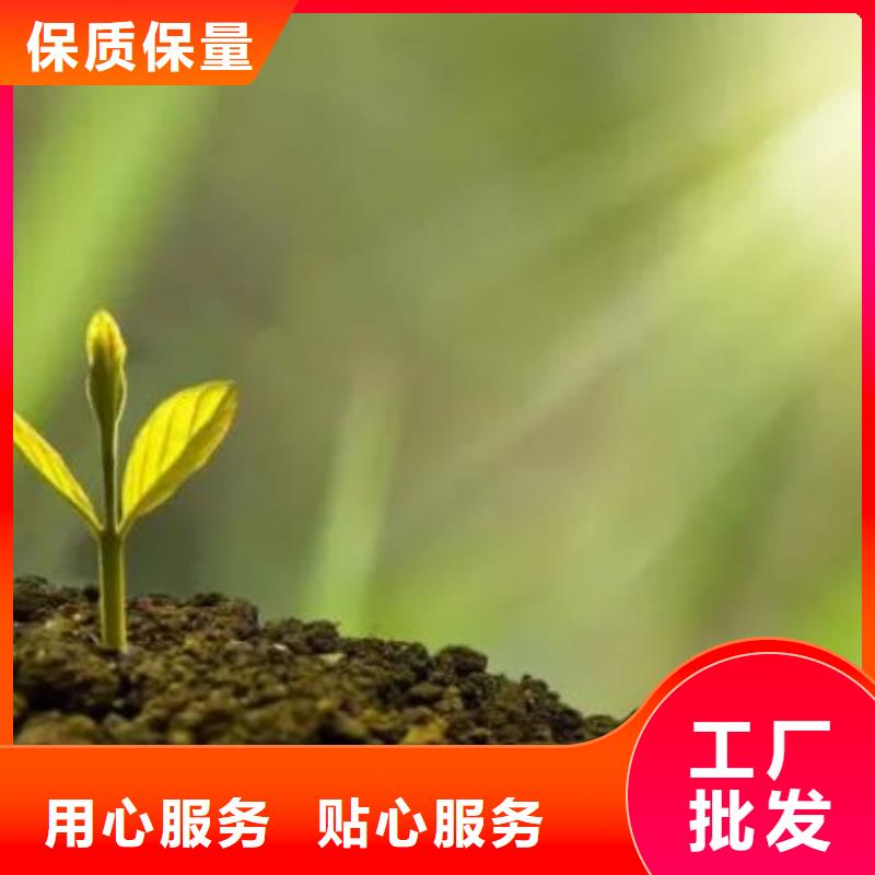 发酵鸡粪有卖的吗