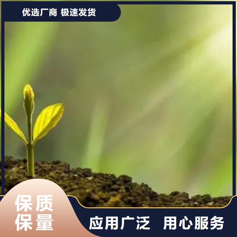 临高县鸡粪有机肥壮苗