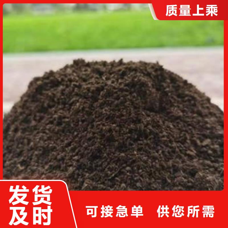 有机肥大葱亩产量