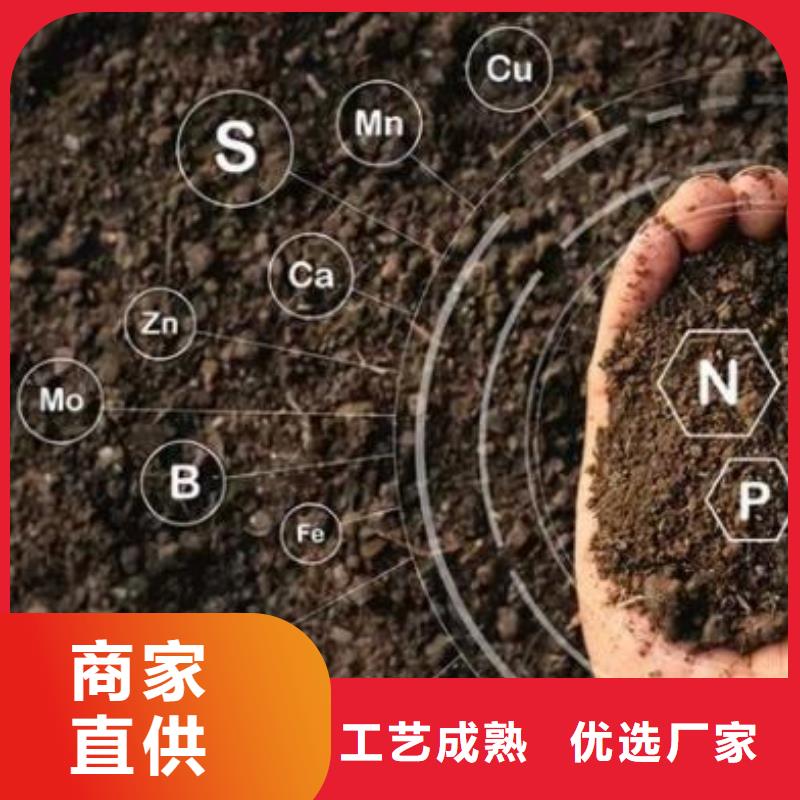 腐熟羊粪延长作物采收期