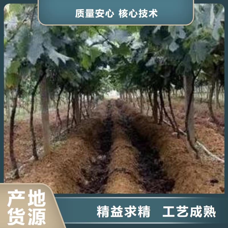 有机肥蔬菜种植好肥料