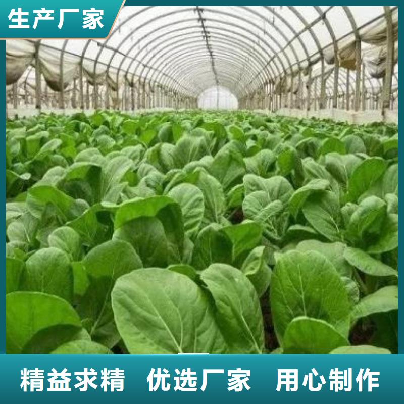 临高县鸡粪有机肥壮苗
