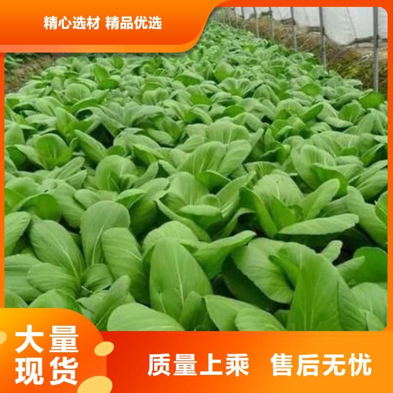 鸡粪有机肥来电咨询