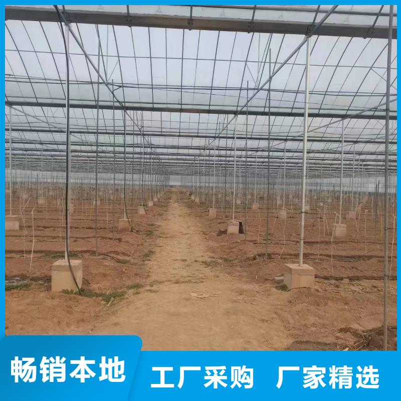 温室大棚,几字钢大棚好产品价格低
