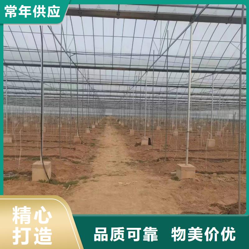 温室大棚热镀锌光伏支架真正让利给买家