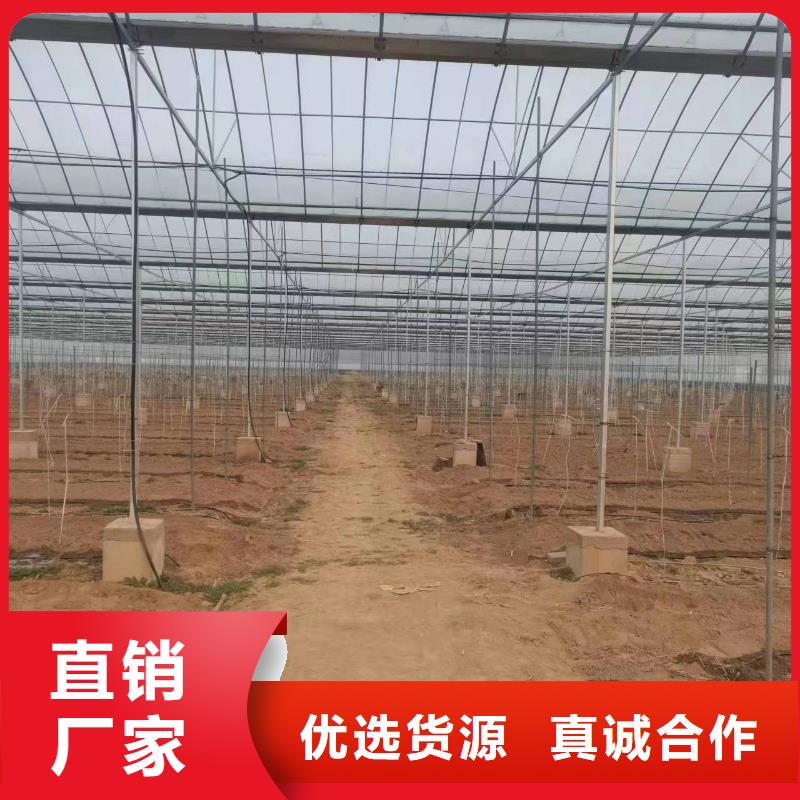 温室大棚,几字钢大棚好产品价格低